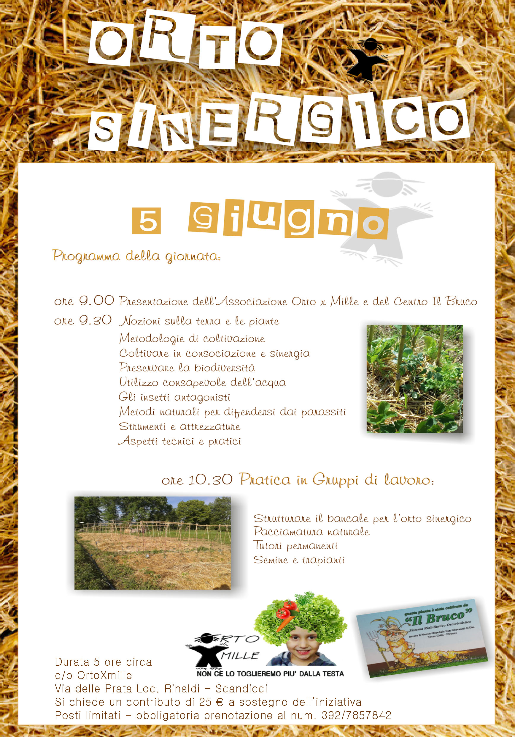 ORTO SINERGICO LAB