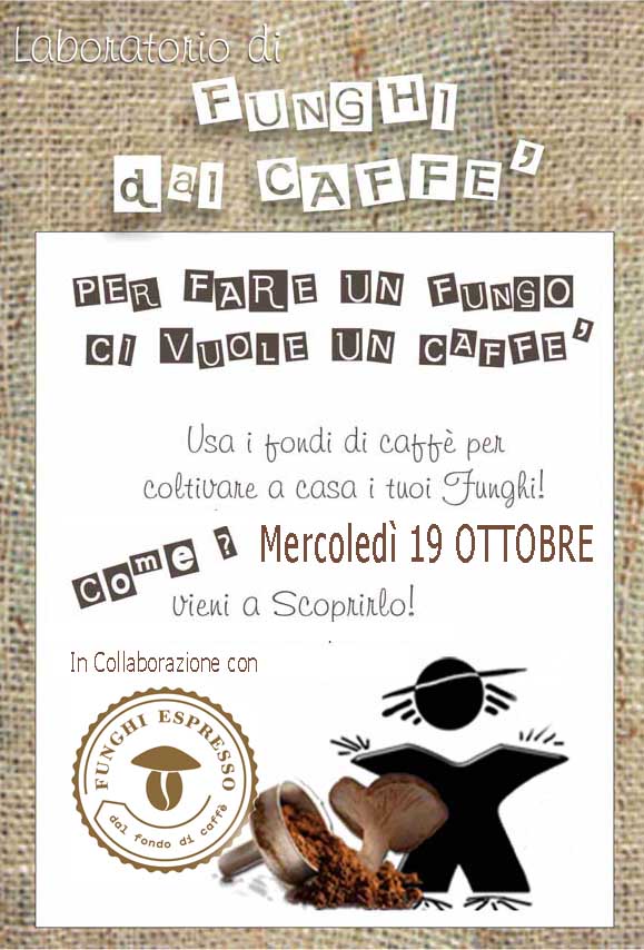 Workshop per imparare come coltivare funghi dal fondo di caffè