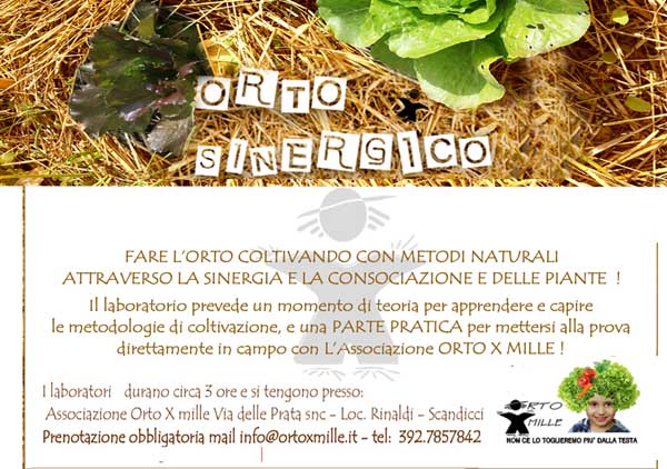 ORTO SINERGICO LAB