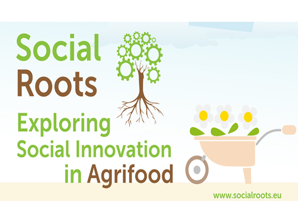 Social Roots