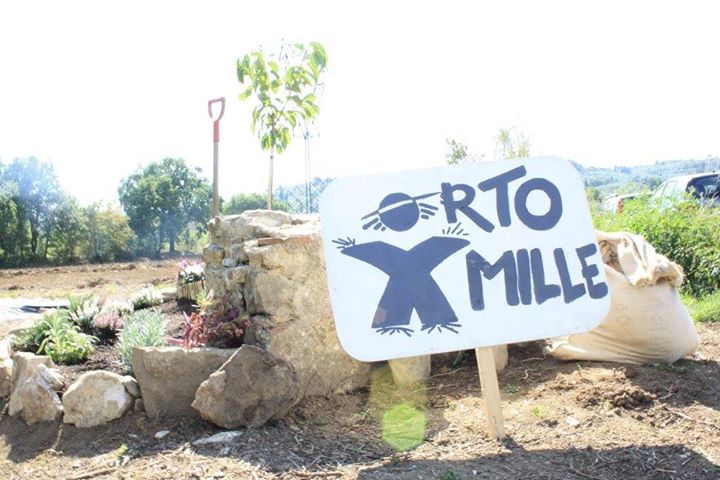 Presentazione Progetto Ortoxmille