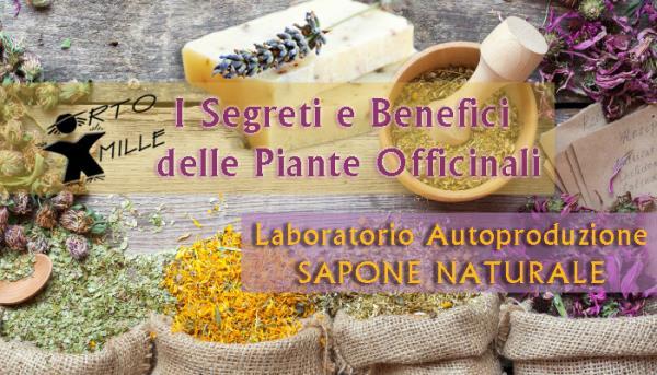 Laboratorio teorico pratico autoproduzione sapone naturale