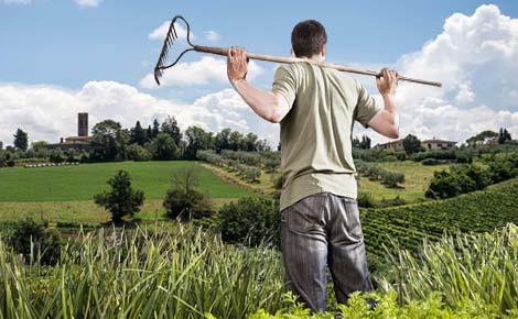  Coronavirus. Toscana apre gli orti amatoriali