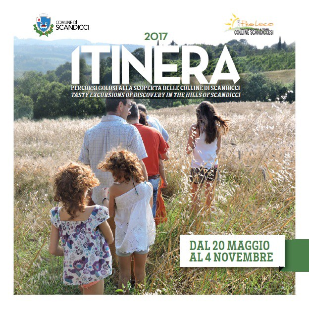 Itinera 2017- Riconoscimento delle erbe spontanee